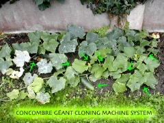 cloning machine system